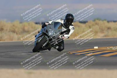 media/Sep-09-2023-SoCal Trackdays (Sat) [[6f49351c42]]/Turn 16 (830am)/